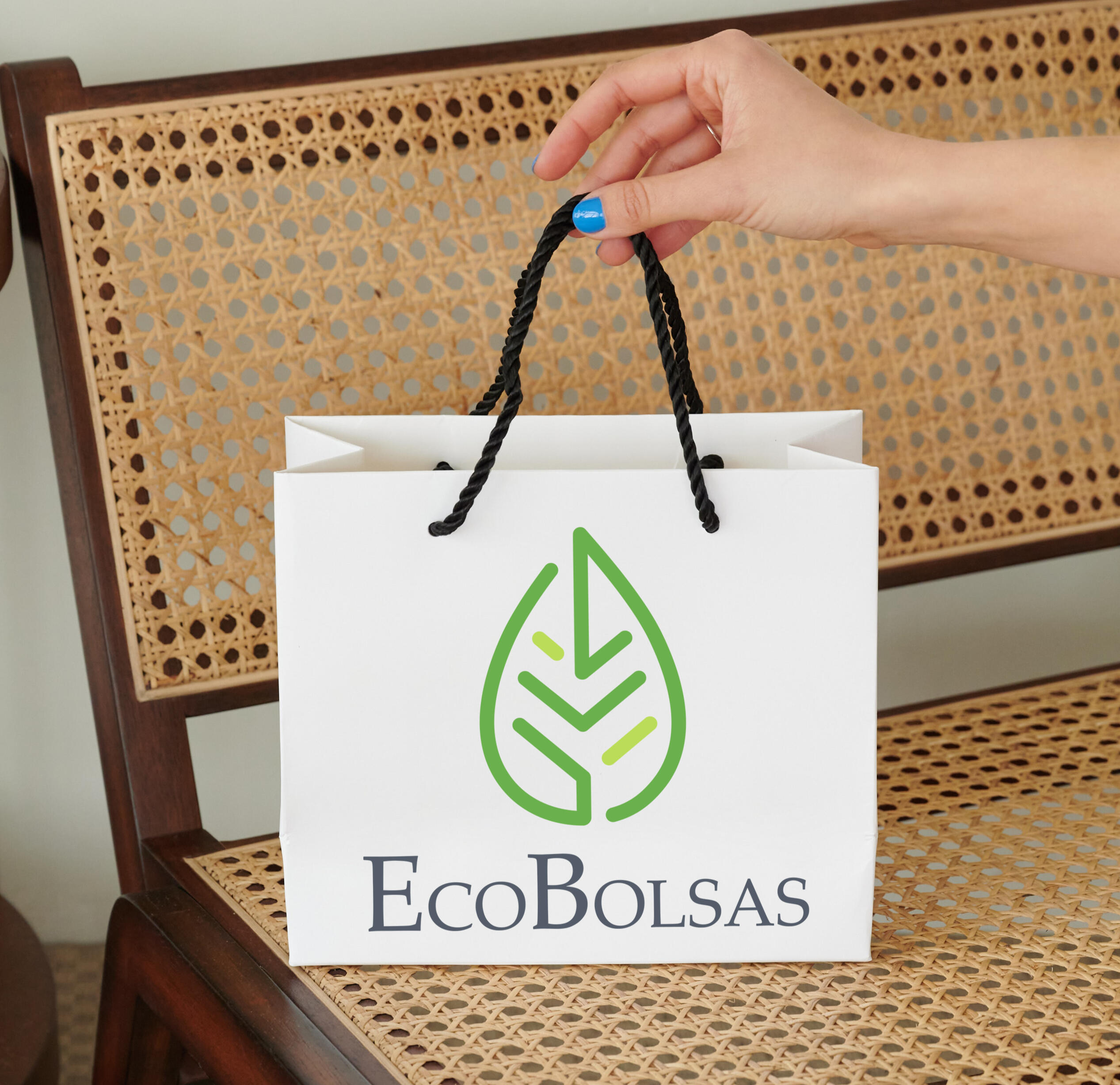 EcoBolsas Bolsa de Papel